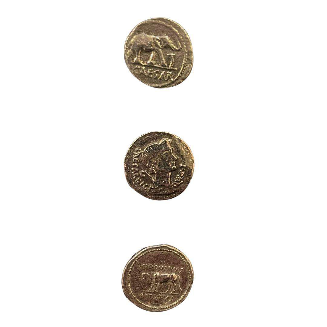 Coin Replica Set - Roman Denarius of Julius Caesar Set of 3 - Museumize.com