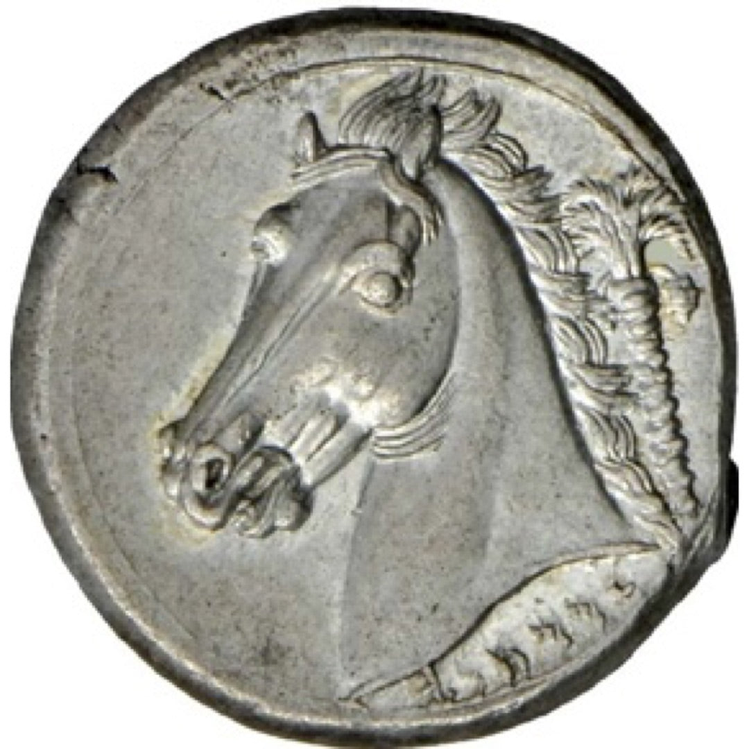 Silver tetradrachm coin with horse head and palm tree, ancient Carthage