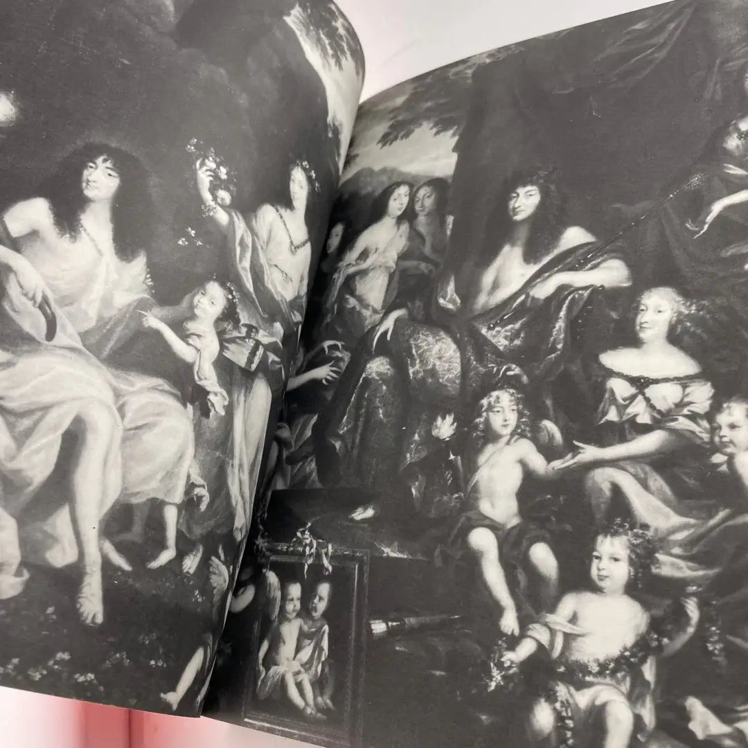 Book - Sun King Louis XIV France French at Versailles by Nancy Mitford attic no returns - Museumize.com