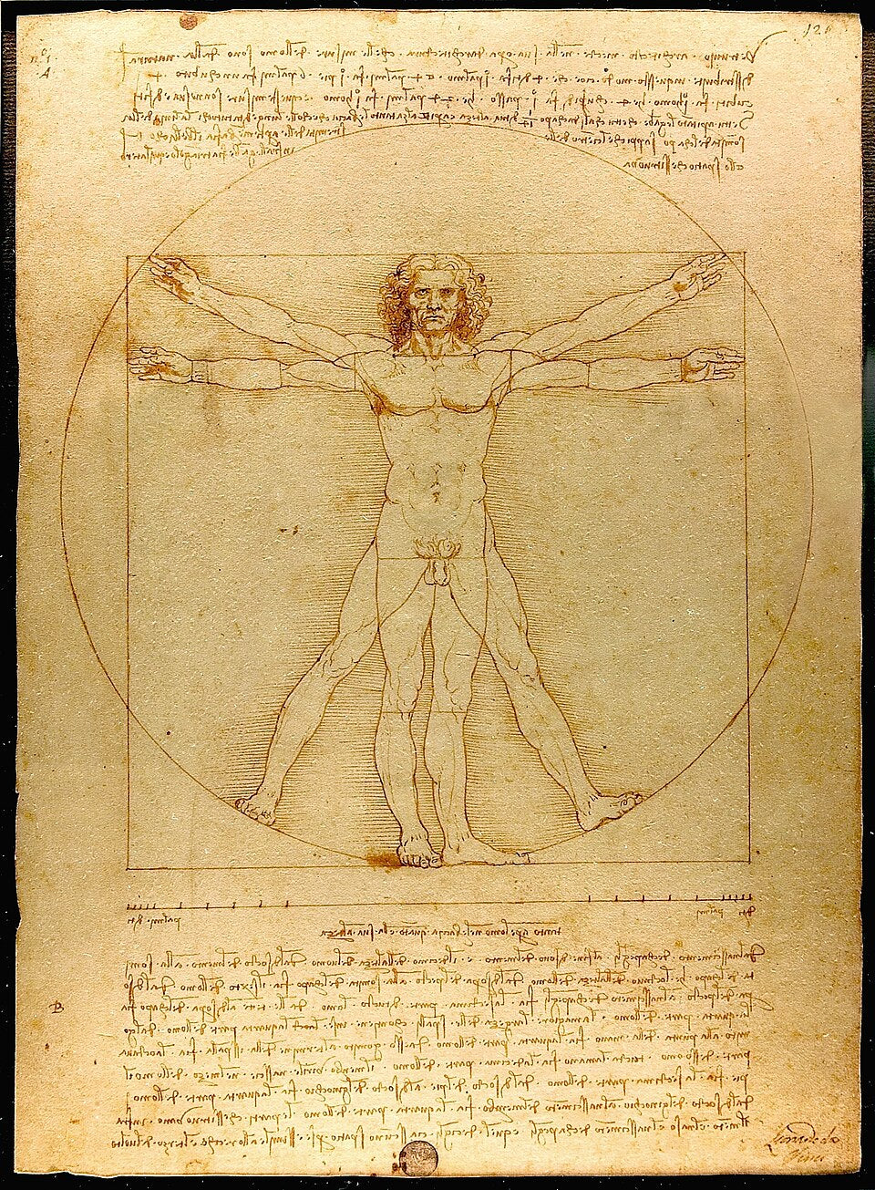 Leonardo's original drawing of the Vitruvian Man from his sketchbook.