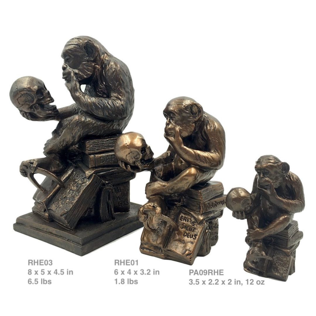 Monkey Holding Skull statue by Hugo Rheinhold - 3 sizes museum replicas