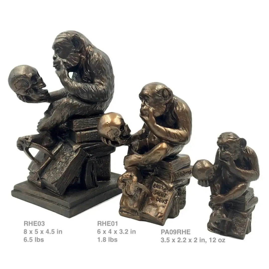 Monkey Holding Skull statue by Hugo Rheinhold - 3 sizes museum replicas