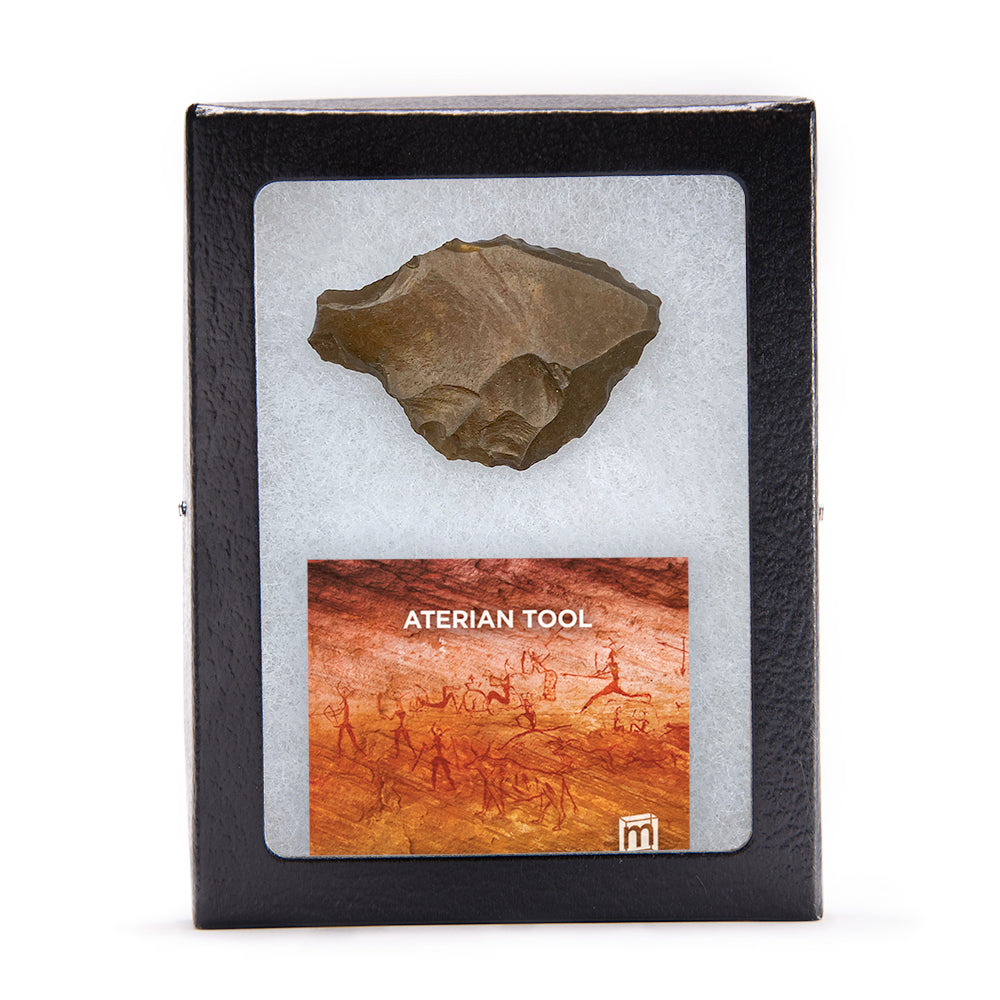 Aterian Stone Tool - Authentic North African Middle Paleolithic Specimen