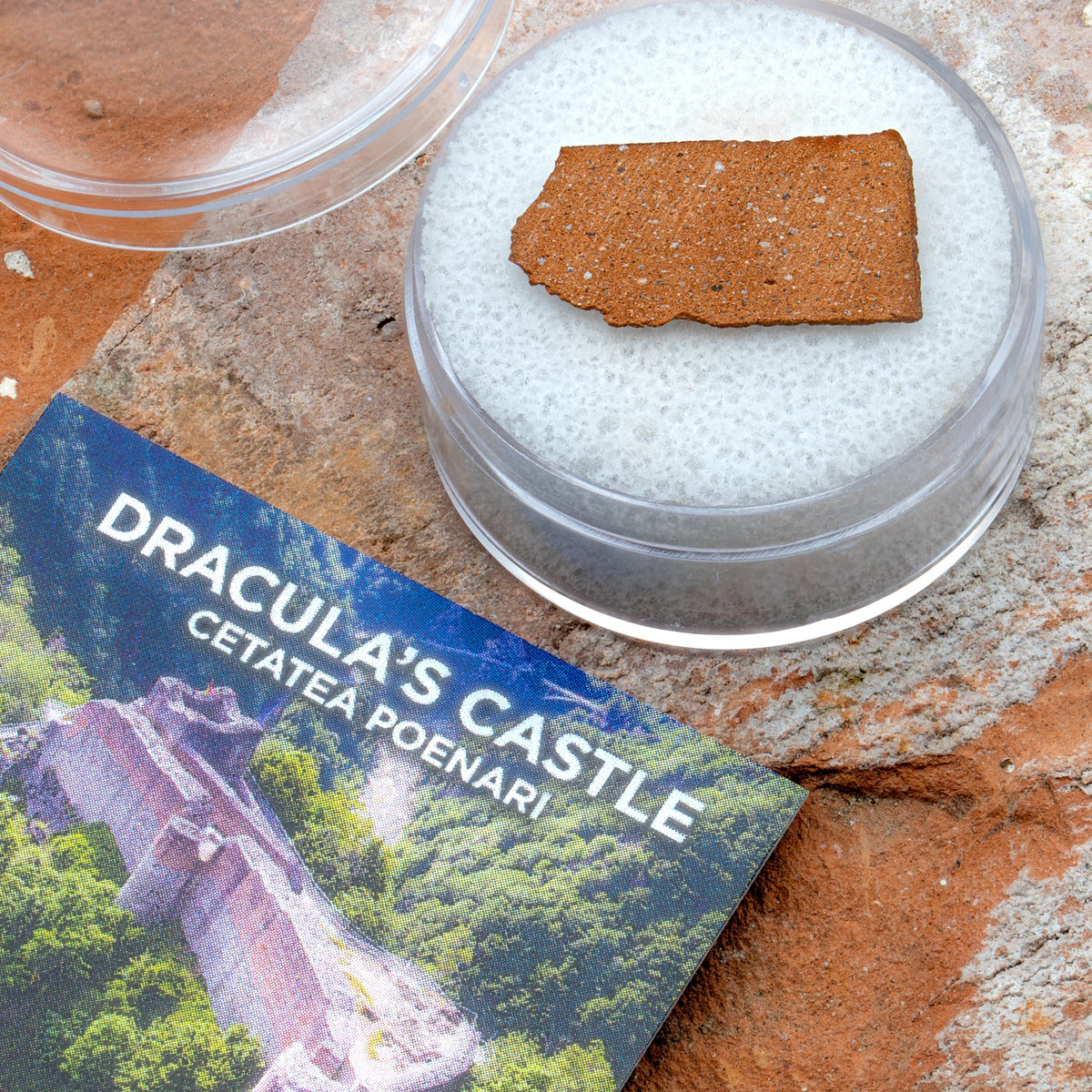 Dracula Castle Brick Actual Sample Specimen