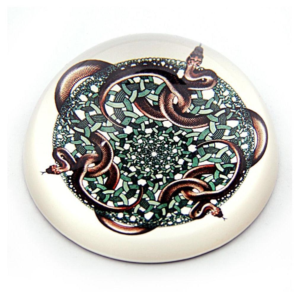 Snakes 1969 Tessellation Glass Dome Paperweight by M.C. Escher 3W - Museumize.com