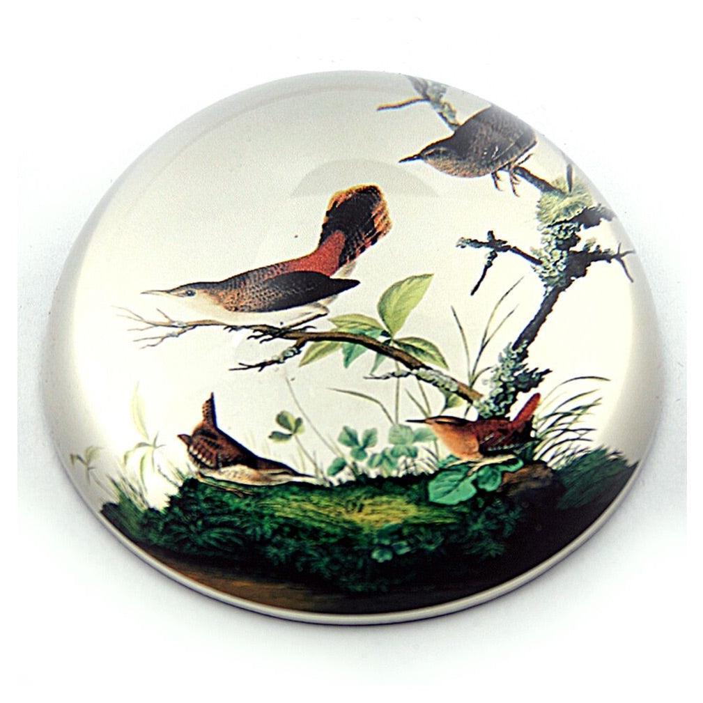 Birds Winter Wrens in Tree Glass Paperweight by J.J Audubon 3W - Museumize.com