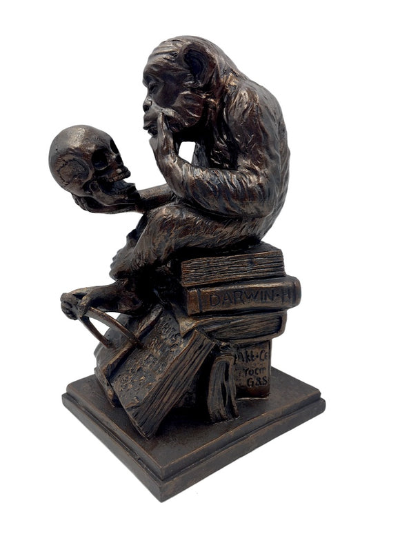 Monkey Holding Skull Sitting on Pile of Books Statue by Rheinhold 8H
