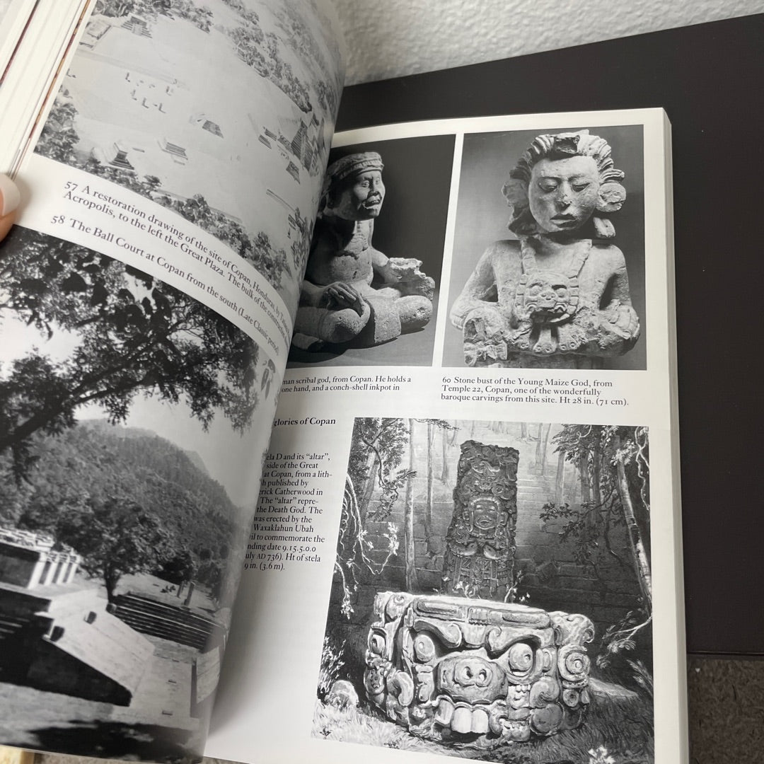 Book - The Maya by Michael Coe 6th Edition 1999 attic no returns - Museumize.com