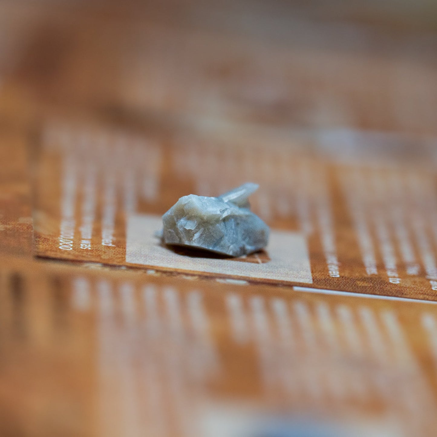 Dinosaur Dung Coprolite - Authentic Fossil Card Display