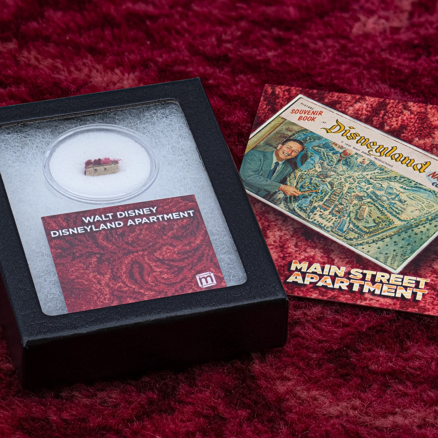 Disneyland carpet specimen in acrylic jar mounted in glass-topped Riker display box