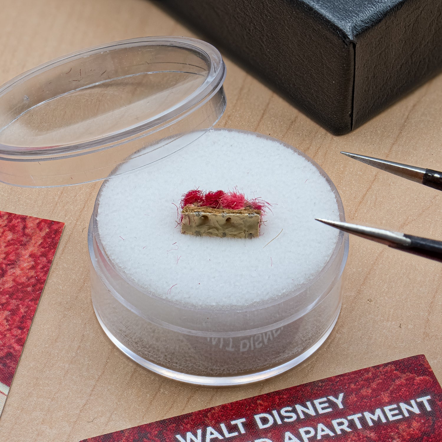 Historical Walt Disney memorabilia specimen mounted in museum-quality presentation case