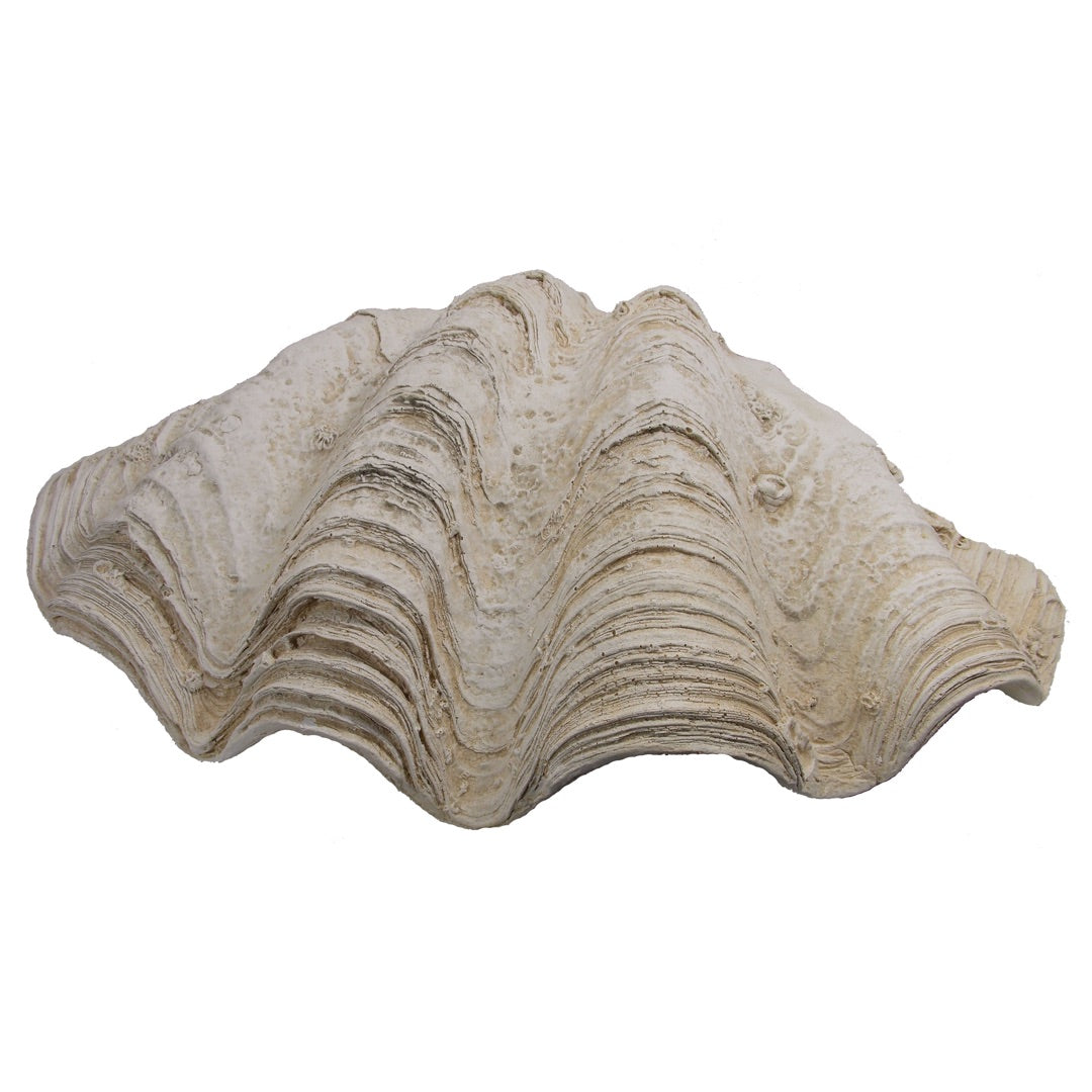 Clam Shell Garden Art Statue Lifelike Cement Large 22.5W