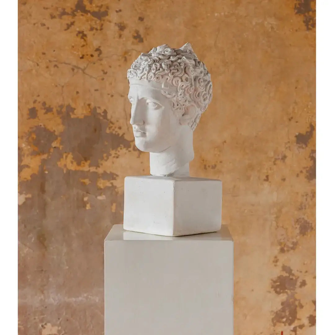 Perseus Medusa hero bust statue, classical art style interior sculpture