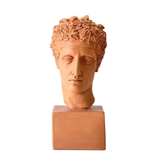 Classical Perseus bust statue with curly hair, Roman style plaster decor