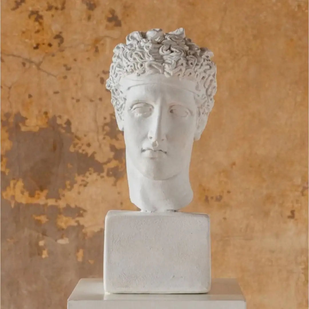Greek mythology Perseus head sculpture, tall white plaster bust display