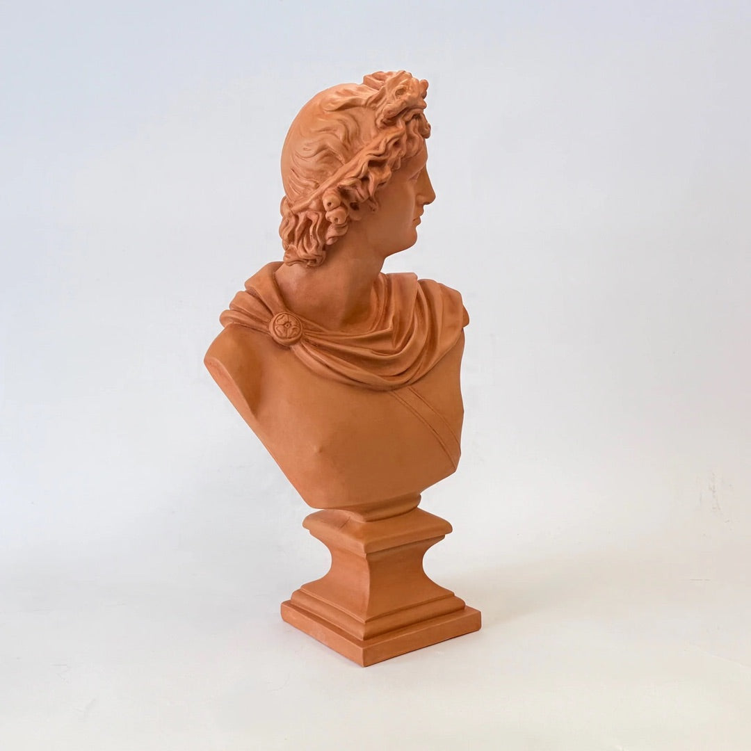 Detail of the Apollo Belvedere bust curls and fillet, terracotta plaster, chlamys clasped at the shoulder