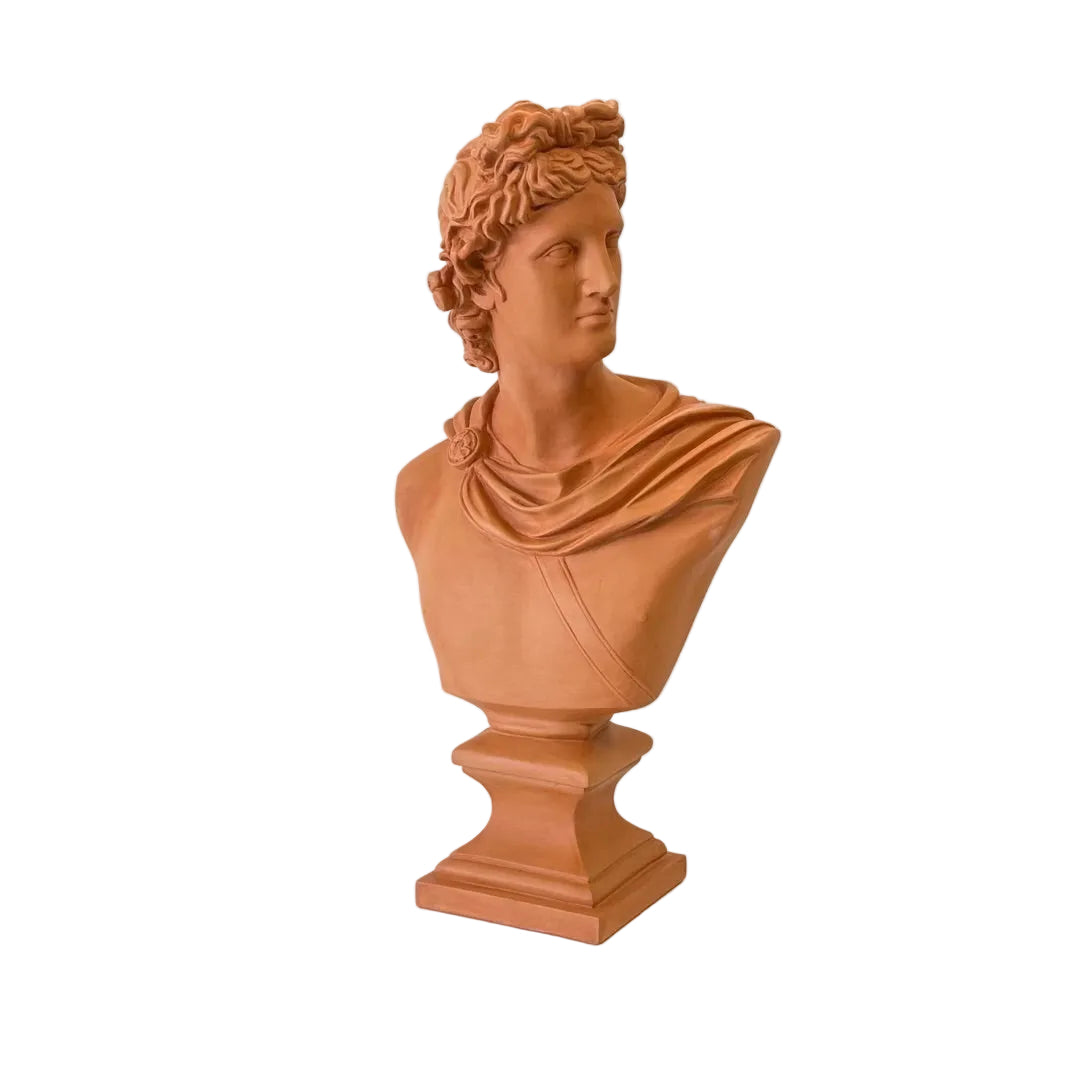 Apollo Belvedere bust, hand cast terracotta plaster, front three-quarter view, HP6451, 23.5 in H