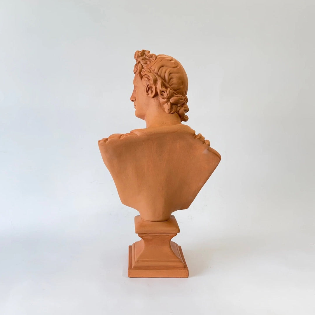 Back view of the Apollo Belvedere bust HP6451, showing the plain reverse and stepped pedestal base