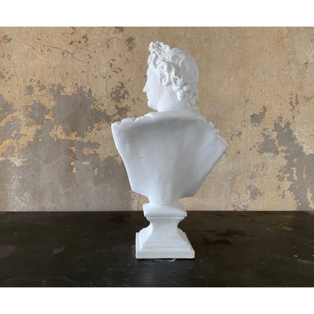 Back view of the Apollo Belvedere bust HP6451, showing the plain reverse and stepped pedestal base
