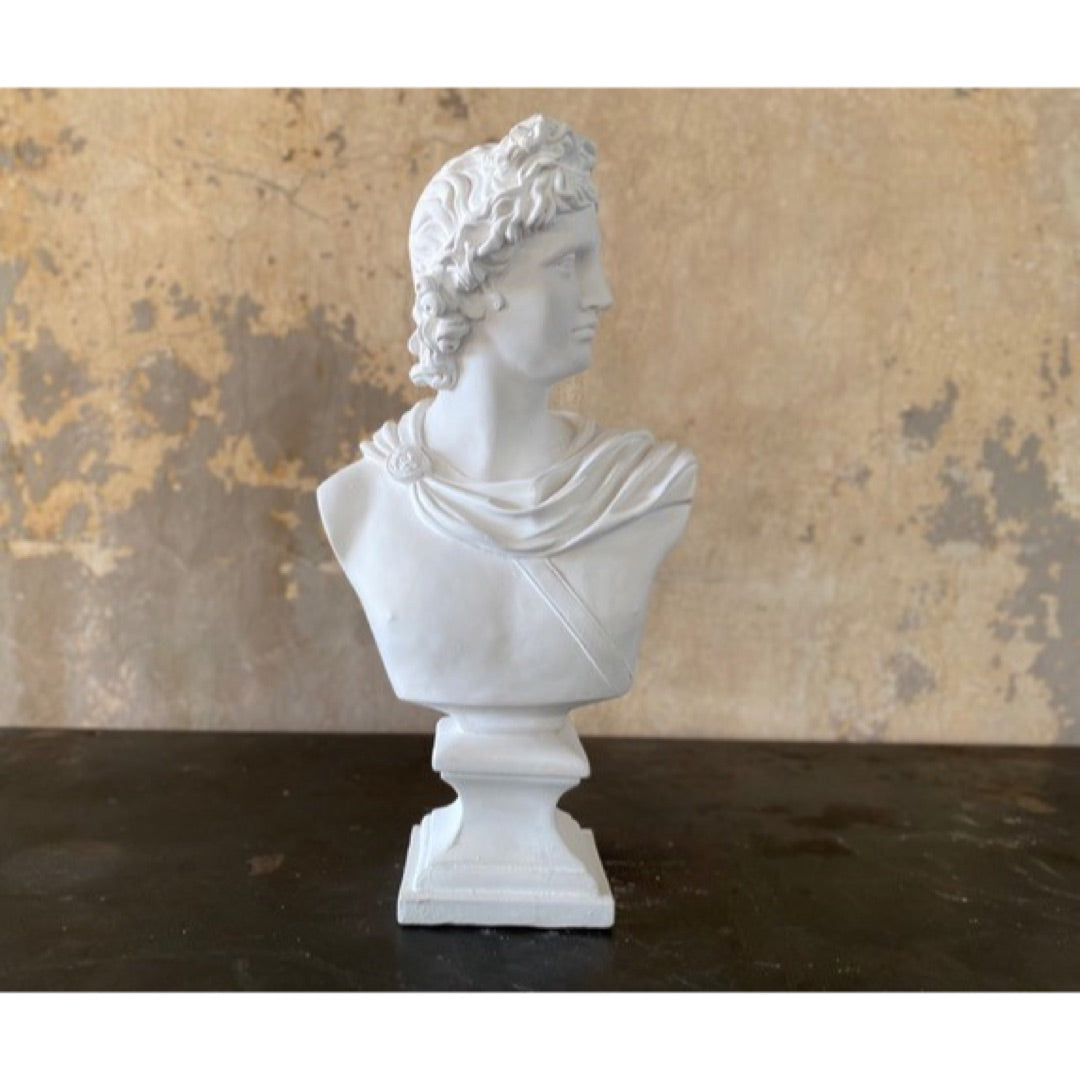 Apollo Belvedere bust, hand cast white plaster, front three-quarter view, HP6451, 23.5 in H