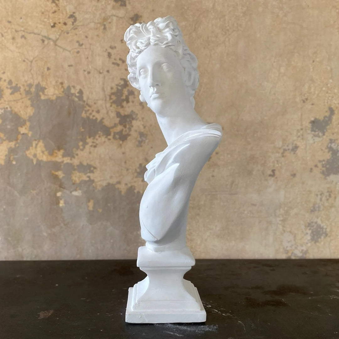 Detail of the Apollo Belvedere bust curls and fillet, white plaster, chlamys clasped at the shoulder