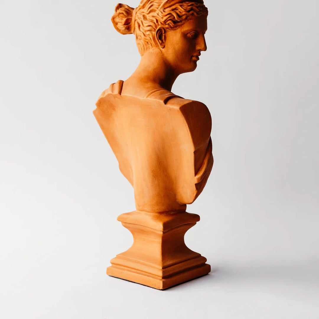Diana of Versailles bust back view, terracotta plaster, 23 in H, HP64520