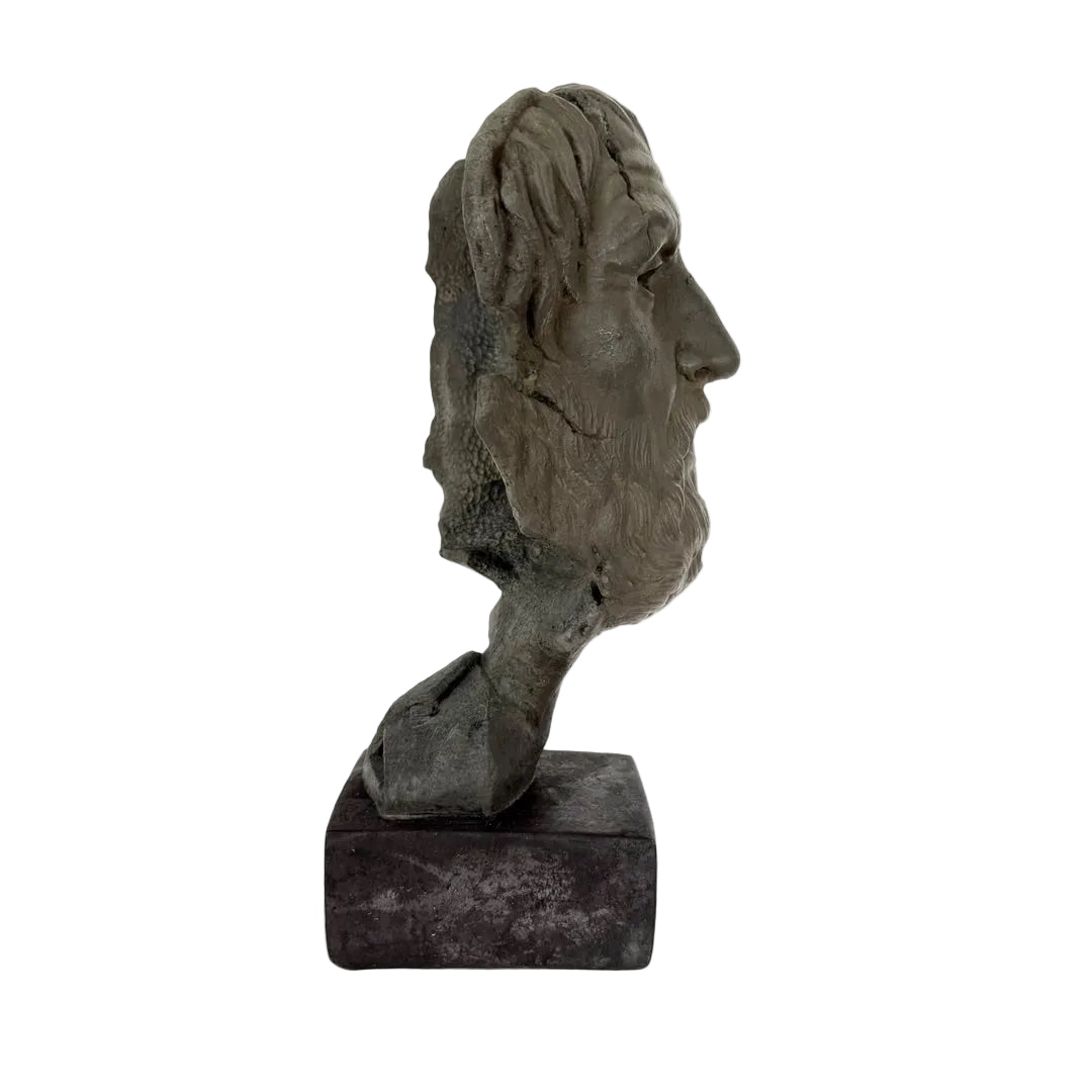 profile view homer bust, portrait of odyssey poet