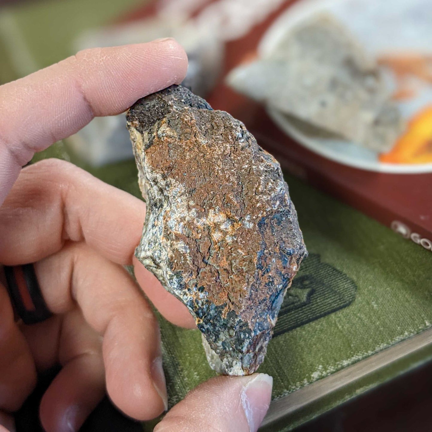 Dinosaur Dung Coprolite Fragment - Authentic Morrison Formation Fossil Specimen - Large