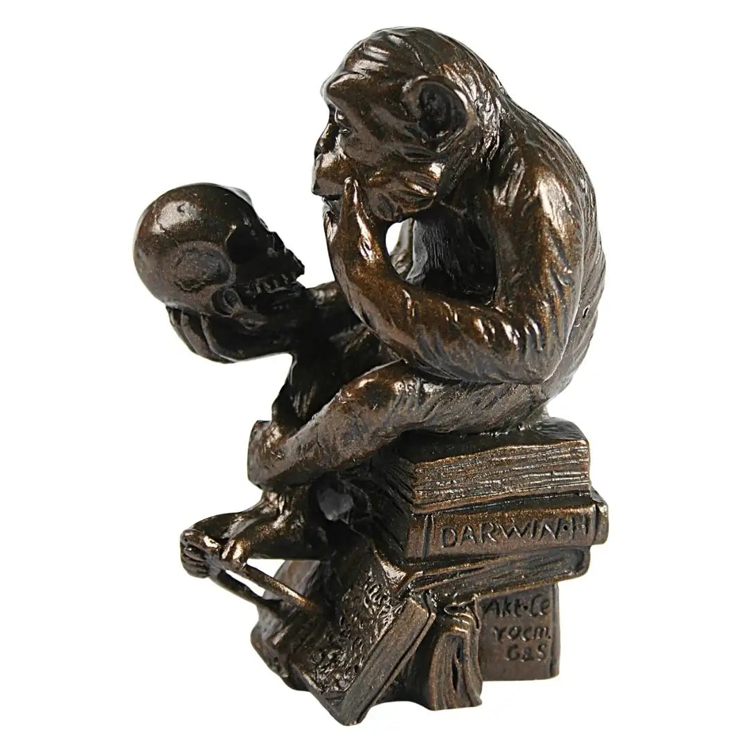Monkey with Skull Miniature Statue by Rheinhold | Parastone
