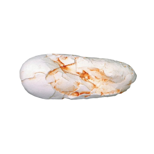 Oviraptor Egg dinosaur replica, made in USA