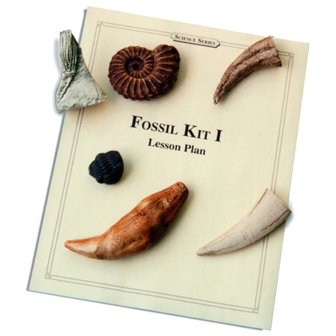 Fossil Casting Activity Kit - Classroom Edition for Science Education
