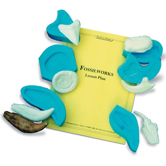 Animal Tracks Casting Activity Kit - Classroom Edition for Science Education