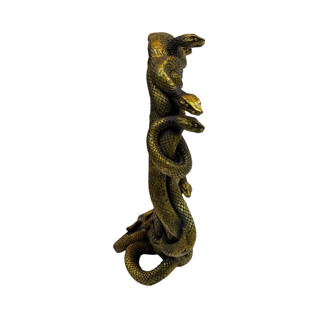 Medusa Snake Golden Wall Mirror - Medusa Gaze Mirror, Gorgon Serpent Frame, Antiqued Gold Resin