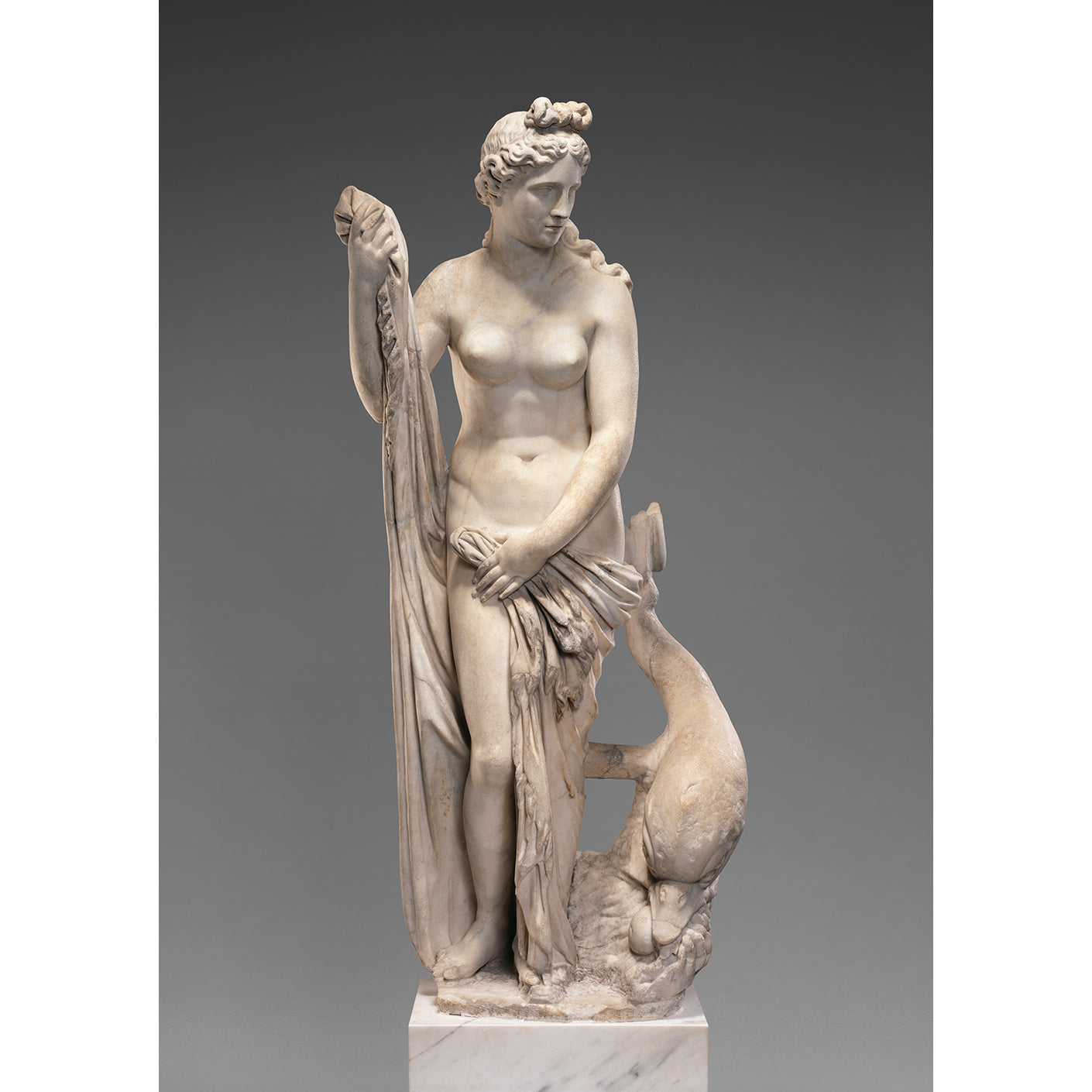 Detail of Venus statue reproduction showing face, upper body, and hand positioning the drapery, Roman marble sculpture
