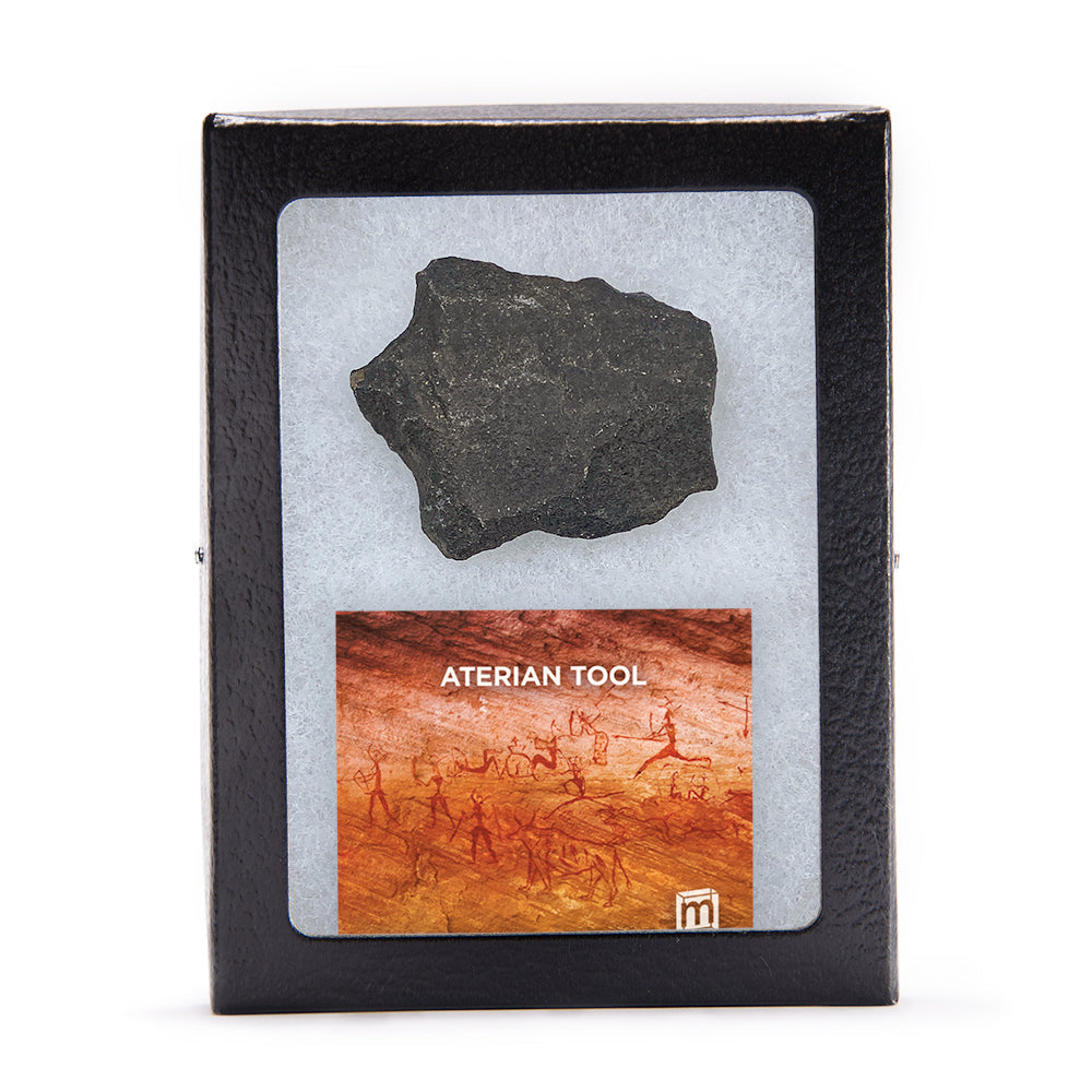 Aterian Stone Tool - Authentic North African Middle Paleolithic Specimen