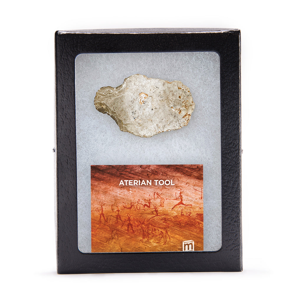 Aterian Stone Tool - Authentic North African Middle Paleolithic Specimen