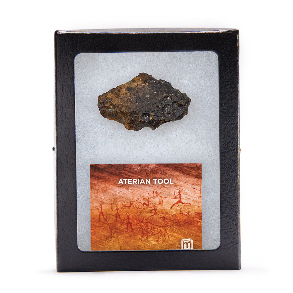 Aterian Stone Tool - Authentic North African Middle Paleolithic Specimen