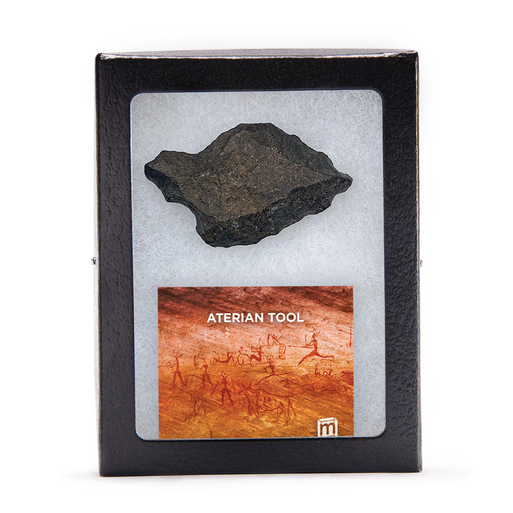 Aterian Stone Tool - Authentic North African Middle Paleolithic Specimen