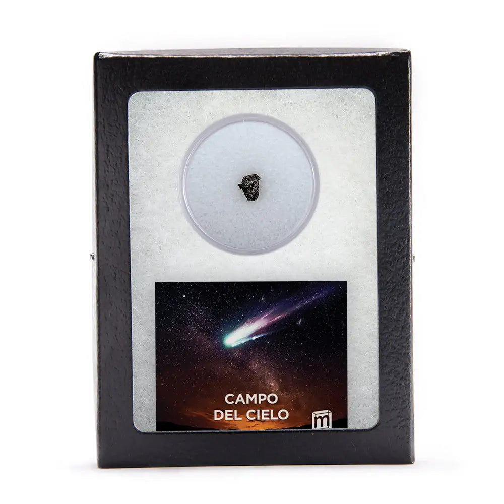 Campo del Cielo Meteorite - Riker Glass Display Case – Museumize.com