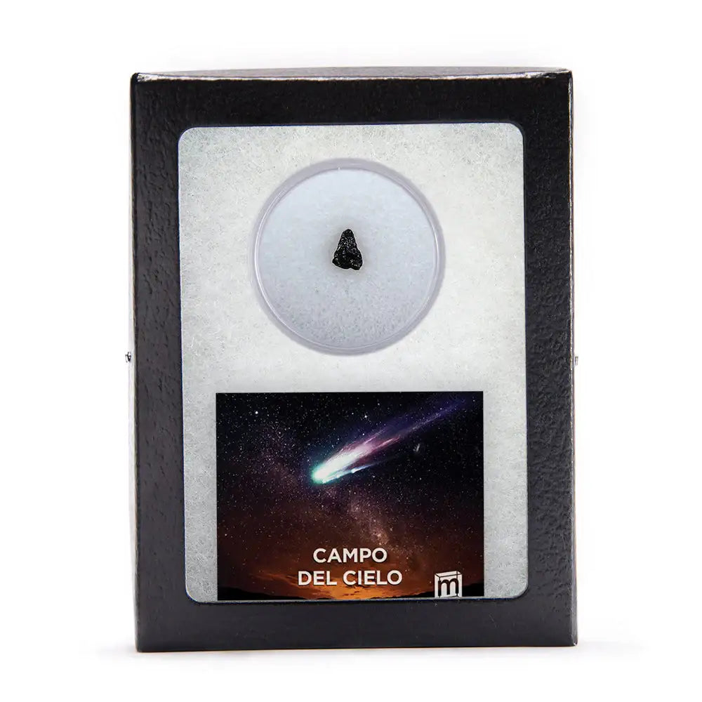 Meteorite Riker Box Campo del Cielo Meteorite - Riker Glass Display Case – Museumize.com