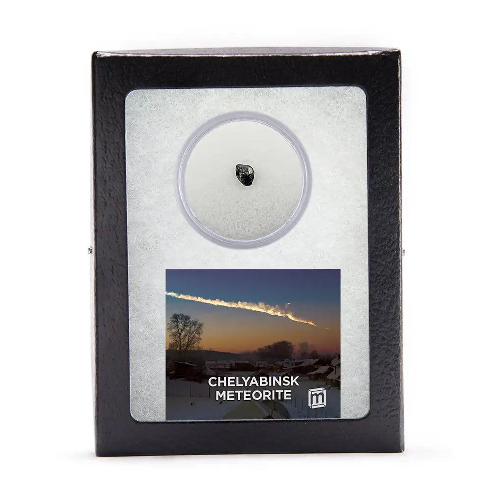 Meteorite Riker Box Chelyabinsk Meteorite - Classic Riker Box Specimens – Museumize.com