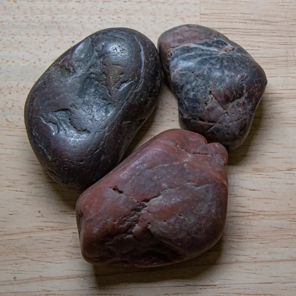 Dinosaur Gastrolith Gut Stone - Authentic Morrison Formation Fossil Specimen - Large