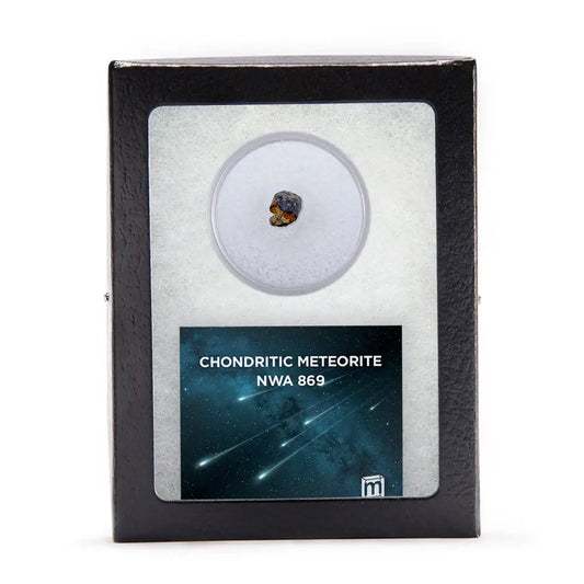 Chondritic Meteorite NWA 869
