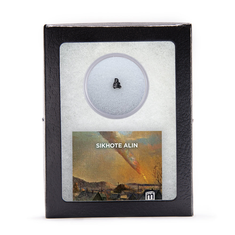 Sikhote Alin Meteorite