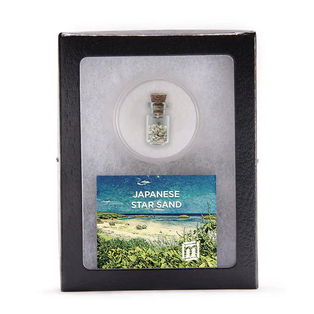 Japanese Star Sand - Authentic Foraminifera Fossil Specimens from Okinawa