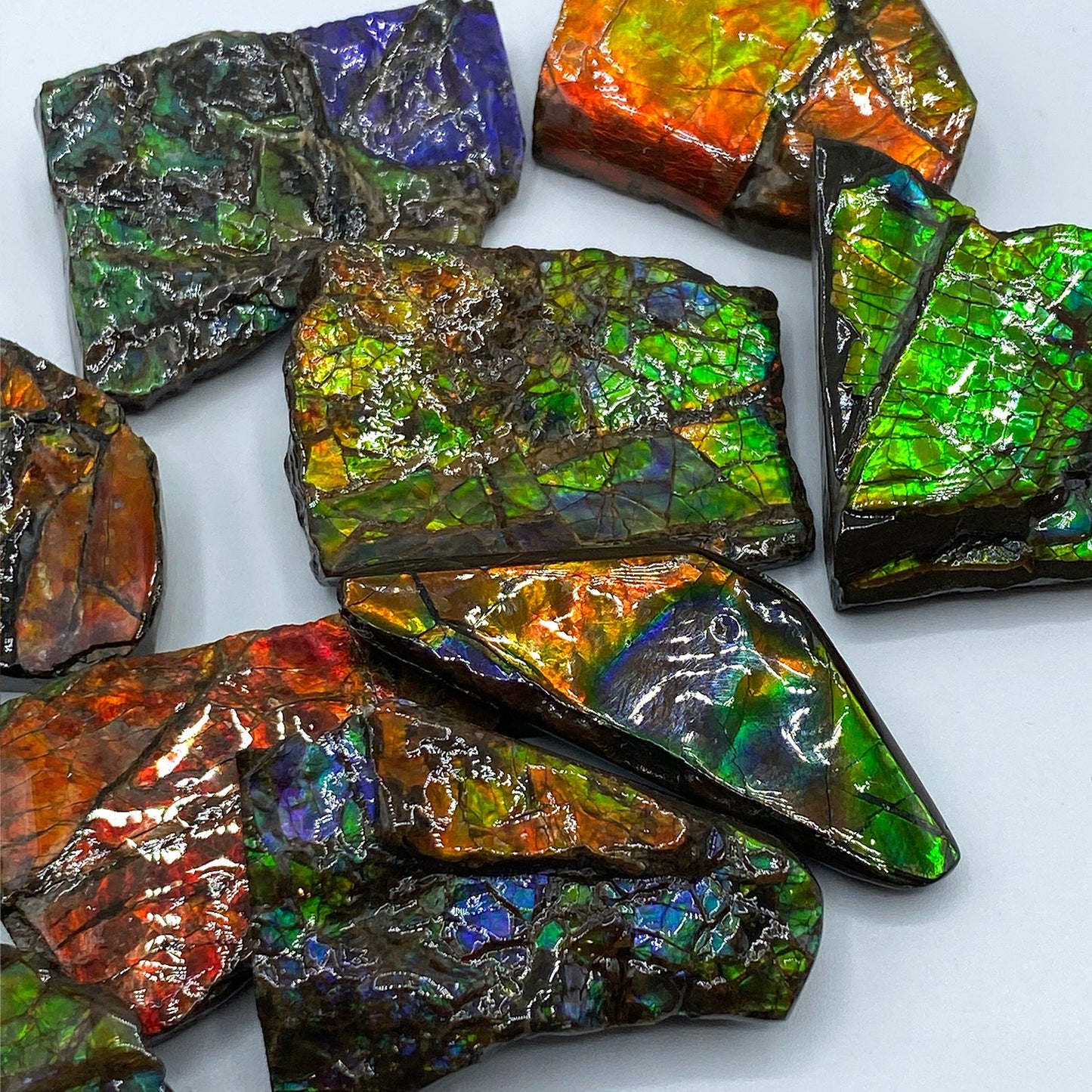 Rainbow Fossil Ammolite - Authentic Gem-Quality Ammonite Fragment