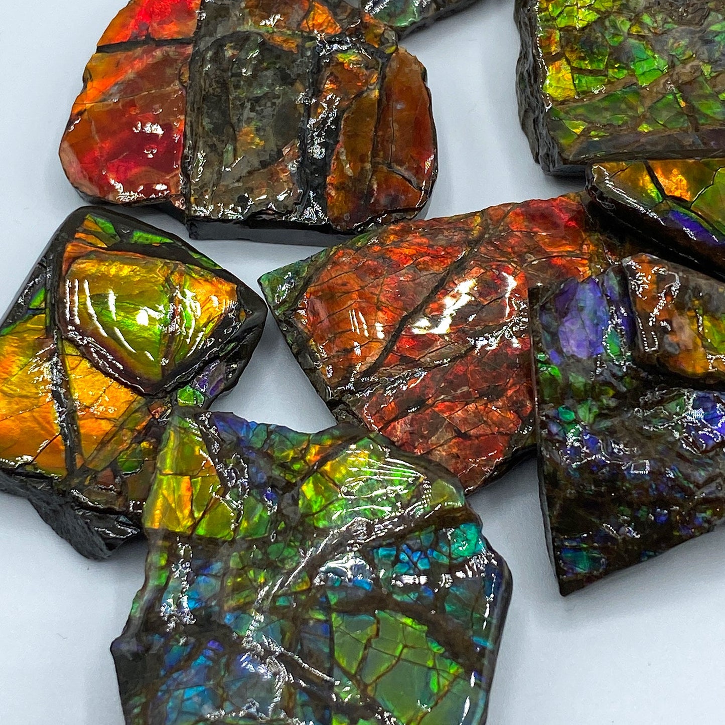 Rainbow Fossil Ammolite - Authentic Gem-Quality Ammonite Fragment