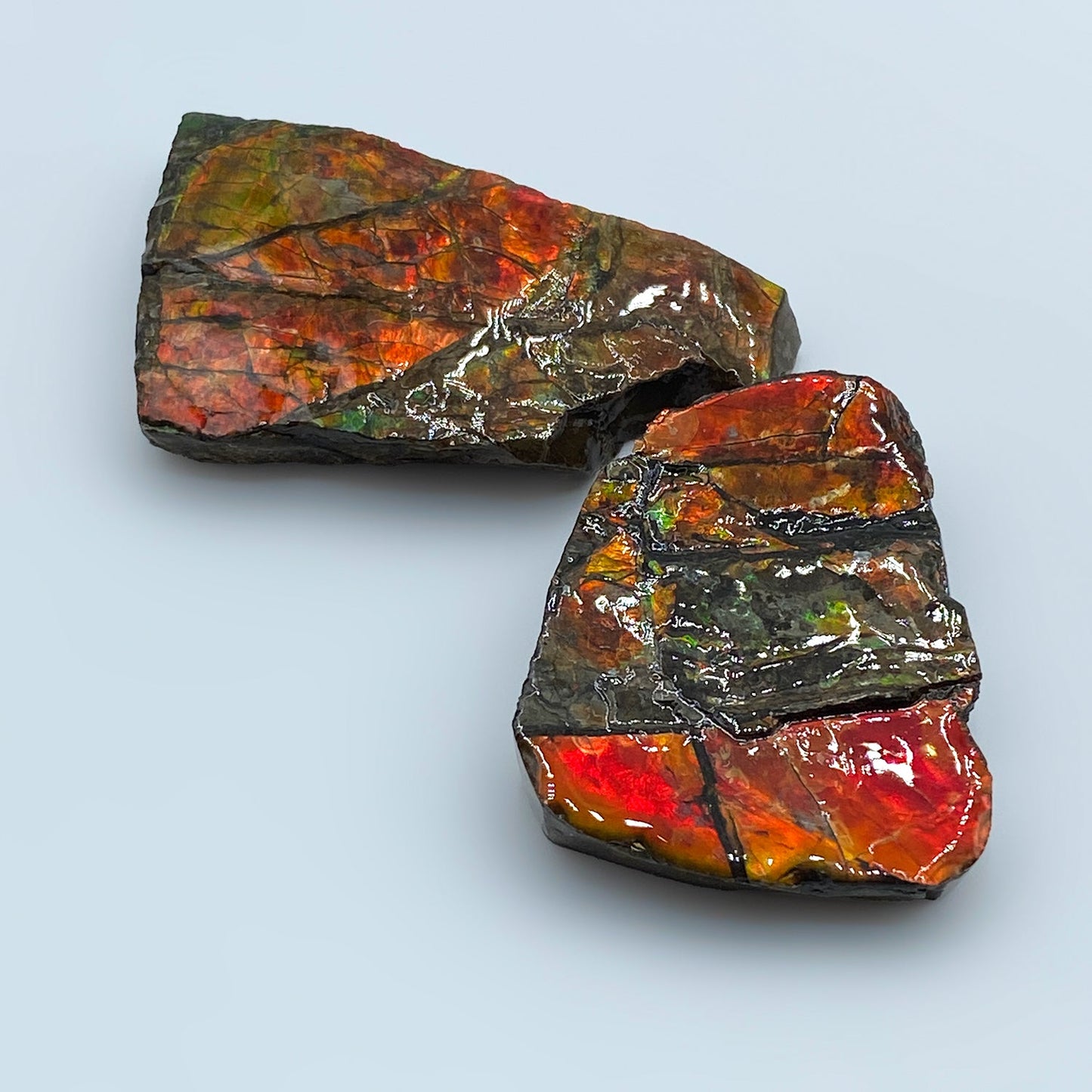 Rainbow Fossil Ammolite - Authentic Gem-Quality Ammonite Fragment