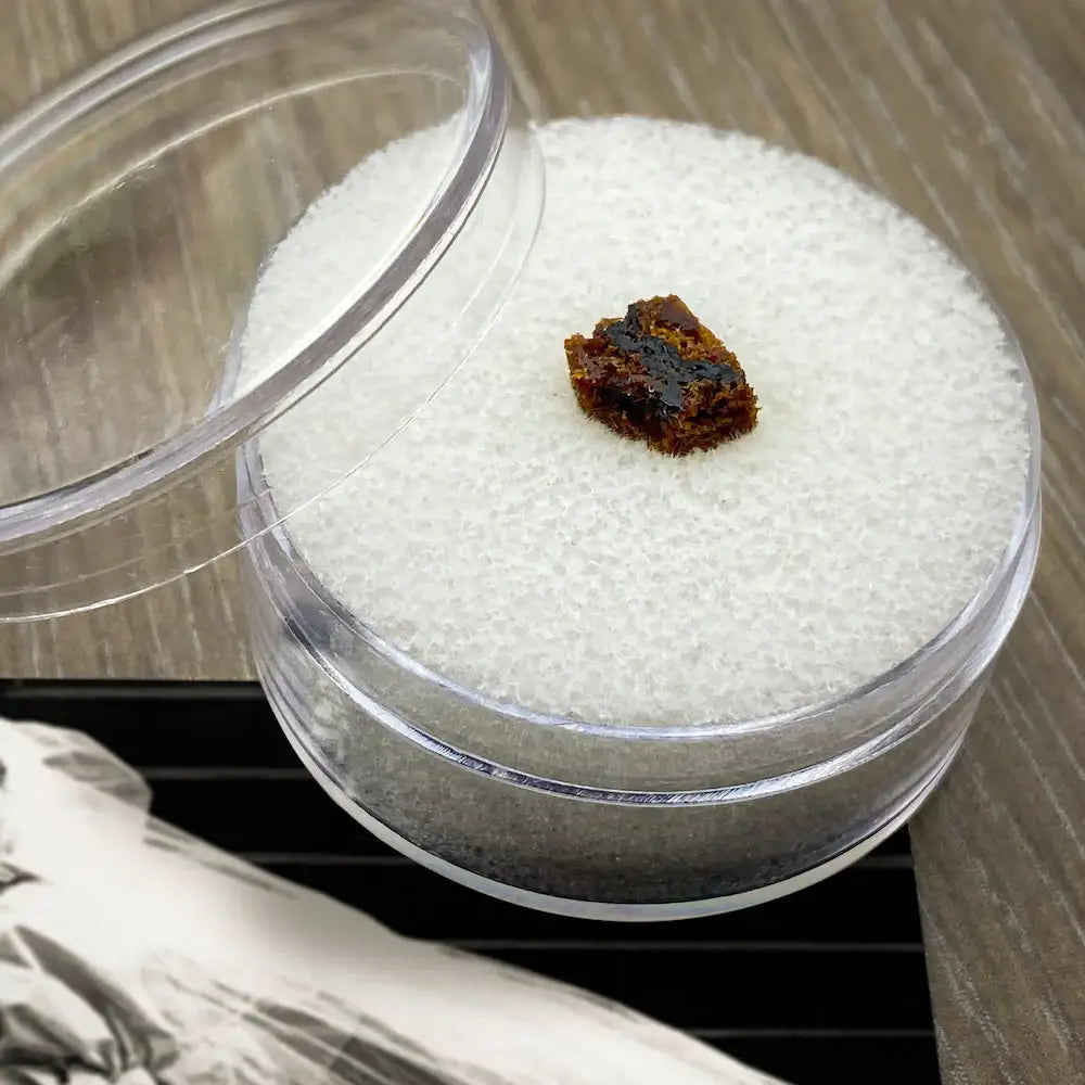 Specimen jar containing preserved cake fragment with cream cheese frosting from the historic royal wedding cake