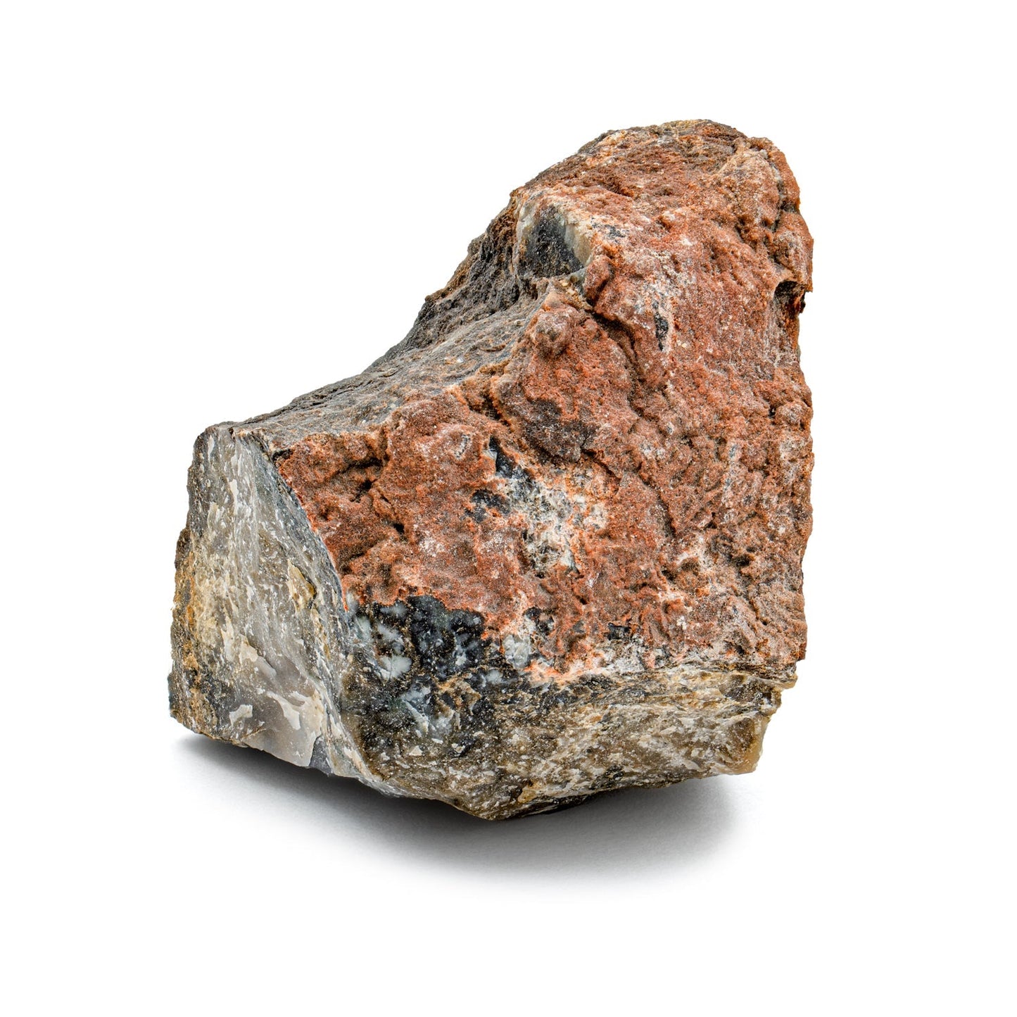 Dinosaur Dung Coprolite Fragment - Authentic Morrison Formation Fossil Specimen - Large